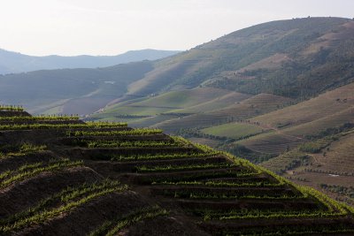 Douro