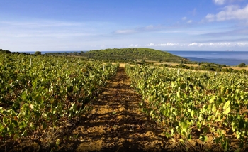 Sardinie