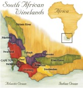 Jihoafrická vína