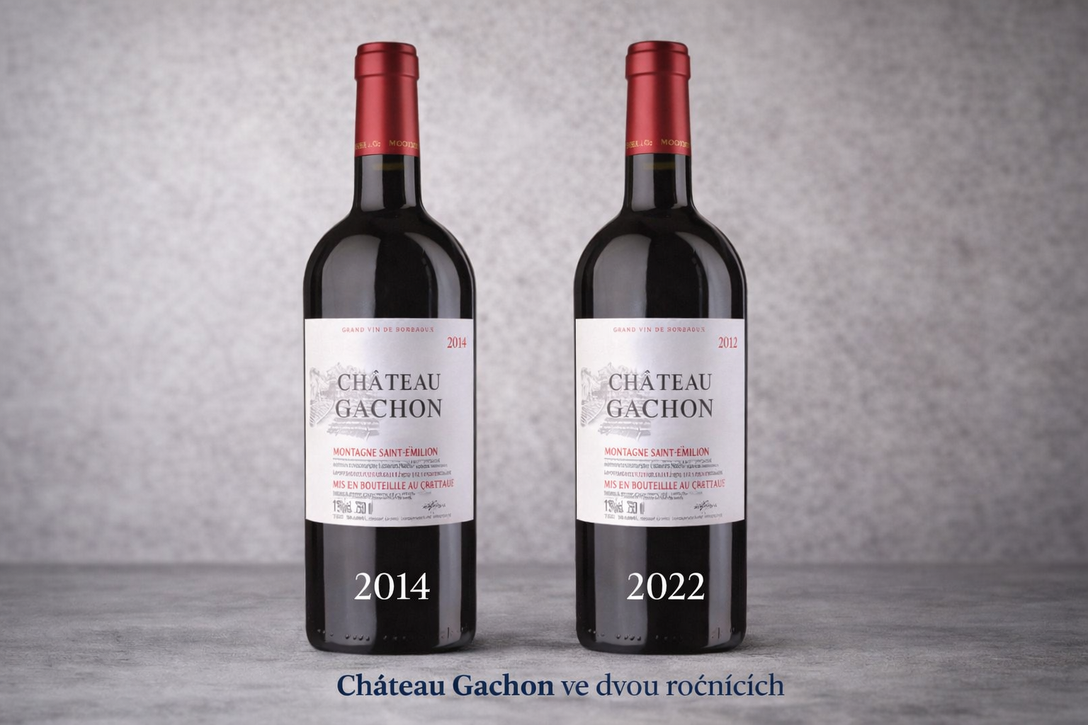Montagne- Saint Emilion - Château GACHON sada