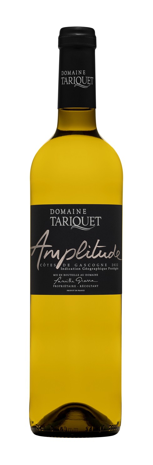 Amplitude