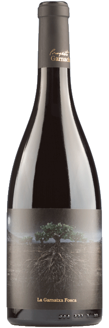 Garnacha - FOSCA PRIORAT