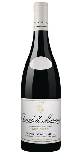 Antonin guyon Chambolle Musigny