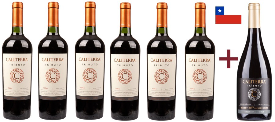 6x Malbec Tributo Caliterra + 1x Malbec Tributo Petreo