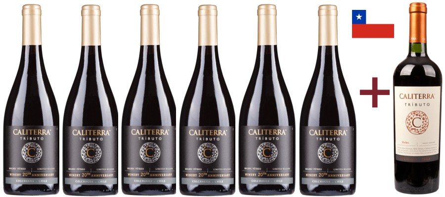 6x Malbec Tributo Petreo + 1x Malbec Tributo Caliterra