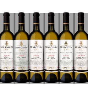 Ilustrační fotografie