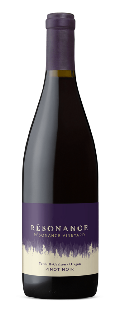 Pinot Noir Résonance vineyard by Maison Louis Jadot