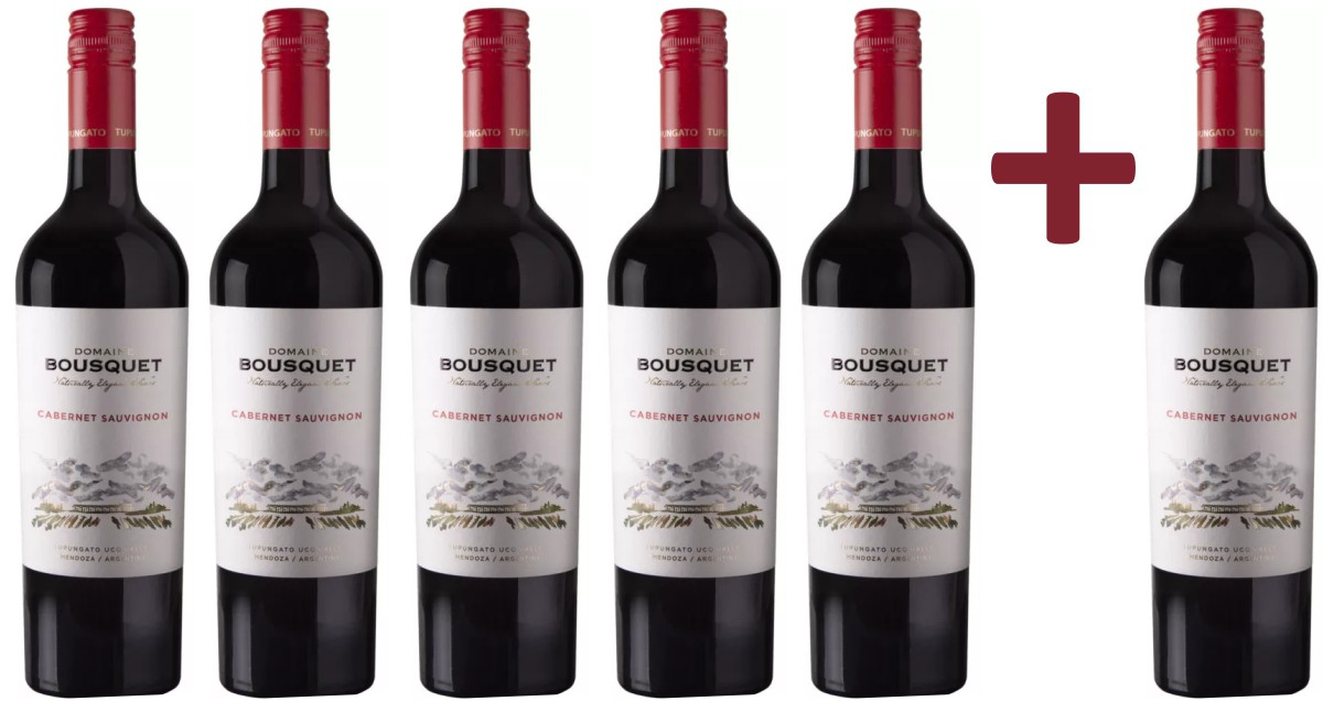 Domaine Bousquet - Cabernet sauvignon Premium