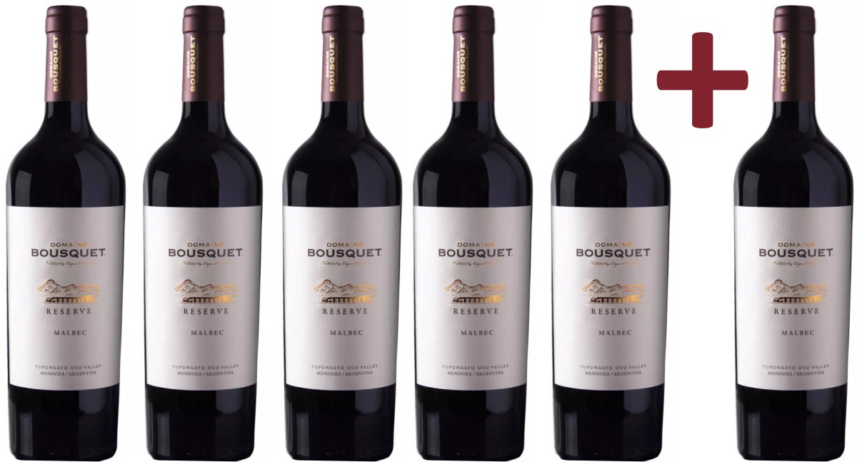 Domaine Bousquet - Malbec Reserva 