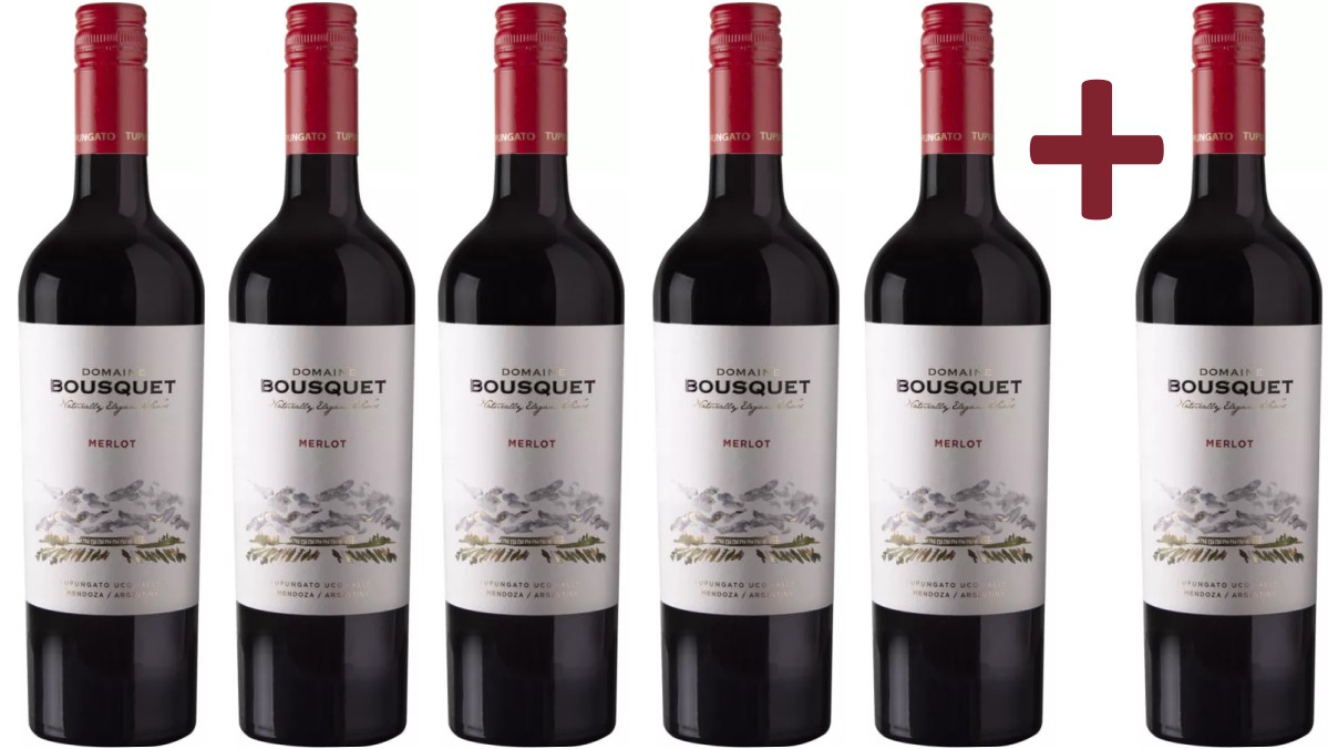 Domaine Bousquet - Merlot Premium