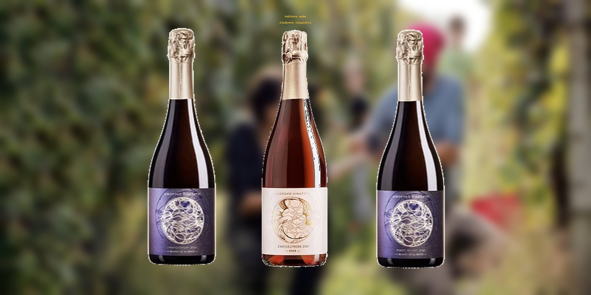 Sada 3 sektů Jindrovo vinařství