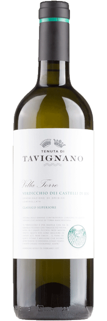 Verdicchio Classico Superiore - Tavignano 