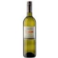 Salomon - Grüner Vetliner Groovey 2021
