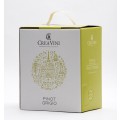 Pinot Grigio - Bag in Box 5L 