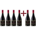 Shiraz Max reserva Errazuriz 4+2 zdarma