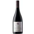 Syrah Aconcagua Costa