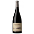 Syrah Las Pizarras