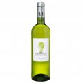 Chateau Carbonneau MARGOT blanc - Saint Foy Bordeaux 2020