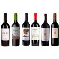 Sada 6 vín Malbec z Argentiny