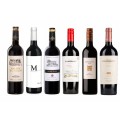 Sada 6 vín Malbec Světa