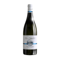 Sauvignon Kobylí