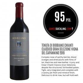 Chianti classico Gran Selezione Vigna del Capannino - Bibbiano 2019