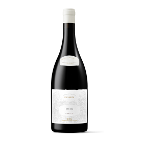 Cisma Pujanza - Rioja 2020