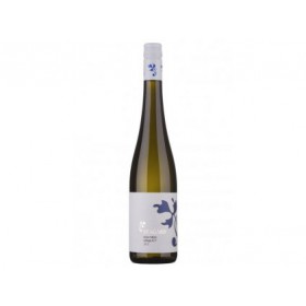  Gruner Veltliner Urban -Stagard 2024