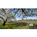 Marrenon Luberon & Ventoux