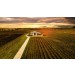 Parker Estate Coonawarra