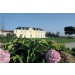 Château Beau Site Saint Estephe cru bourgeois Bordeaux