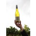 Parker Estate Coonawarra