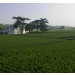 Chateau Bonalgue Pomerol