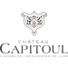 Chateau Capitoul