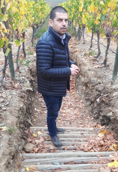Enolog Errazuriz Enolog Errazuriz