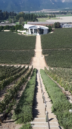 Vina Errazuriz