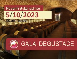 Gala 2023