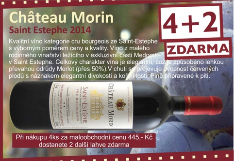 Chateau Morin Saint Estephe