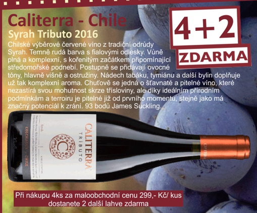 Syrah Tributo Caliterra Syrah Tributo Caliterra