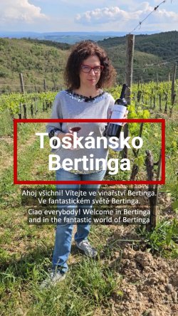 Bertinga