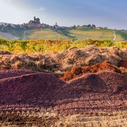 Azienda Rivetto