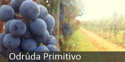 Primitivo Primitivo