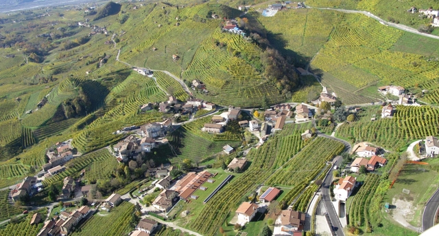 Prosecco Prosecco