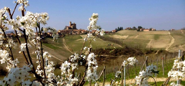 Jarni tipy Jarní tipy