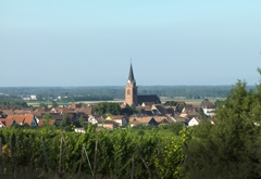 Alsasko - Bergheim