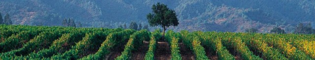 Luberon vína Francie Luberon vína Francie