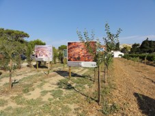 Okolí Chateau Hospitalet