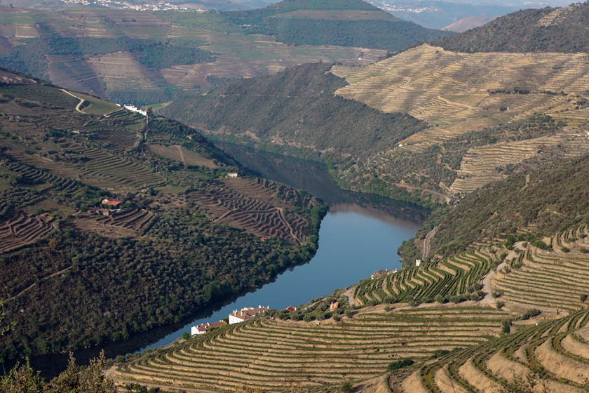 Portugalská vína Portugalská vína