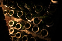 Cava