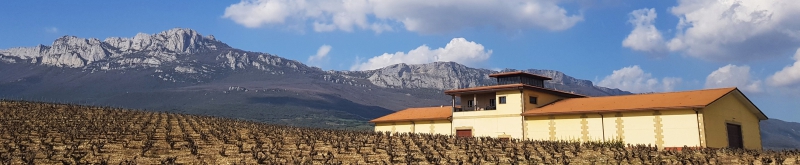 Bodegas Pujnaza